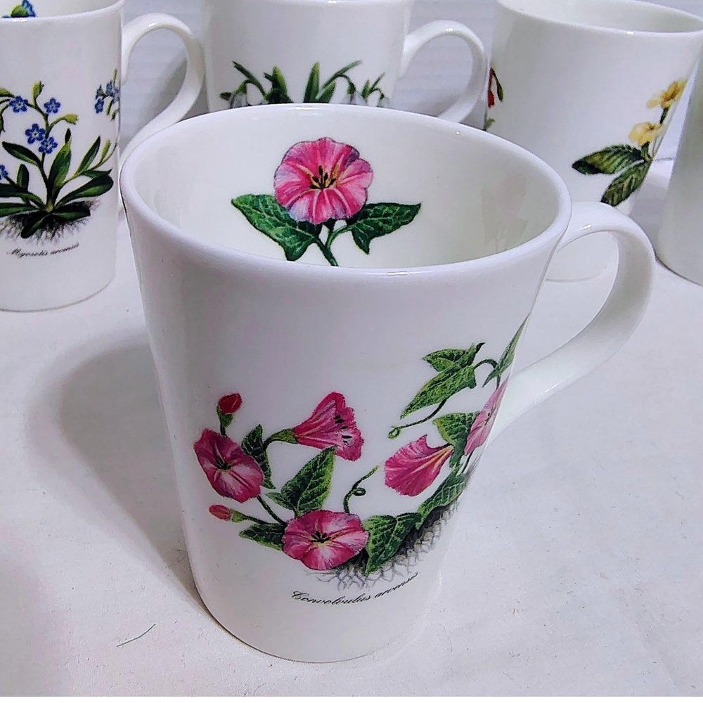 Royal Victorian Staffordshire England Botanical Flower Mugs Fine Bone China - Picture 3 of 13